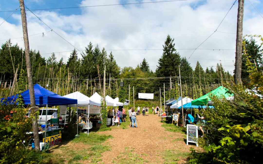 Local Activities-Gibsons Farmers Market